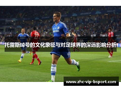 托雷斯绰号的文化象征与对足球界的深远影响分析 托雷斯绰号的文化象征与对足球界的深远影响分析