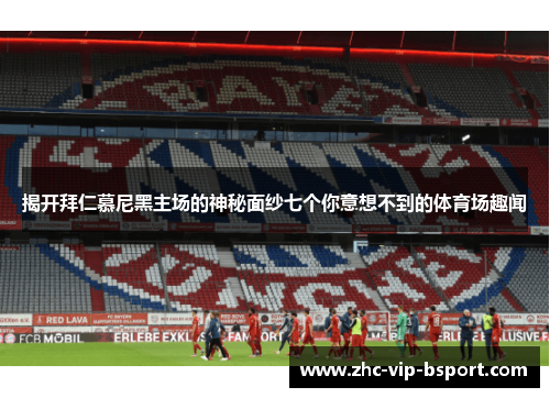 揭开拜仁慕尼黑主场的神秘面纱七个你意想不到的体育场趣闻