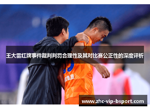 王大雷红牌事件裁判判罚合理性及其对比赛公正性的深度评析