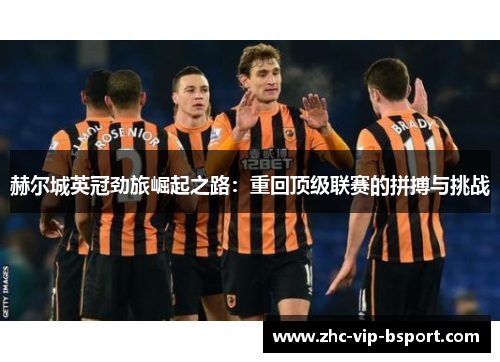 赫尔城英冠劲旅崛起之路：重回顶级联赛的拼搏与挑战