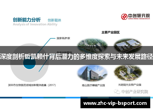 深度剖析哲凯赖什背后潜力的多维度探索与未来发展路径