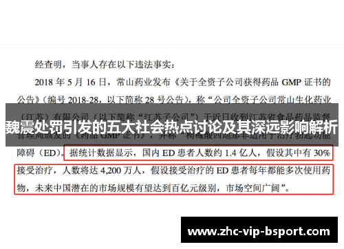 魏震处罚引发的五大社会热点讨论及其深远影响解析 魏震处罚引发的五大社会热点讨论及其深远影响解析