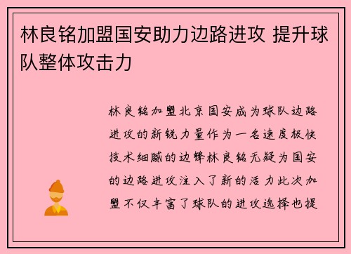 林良铭加盟国安助力边路进攻 提升球队整体攻击力